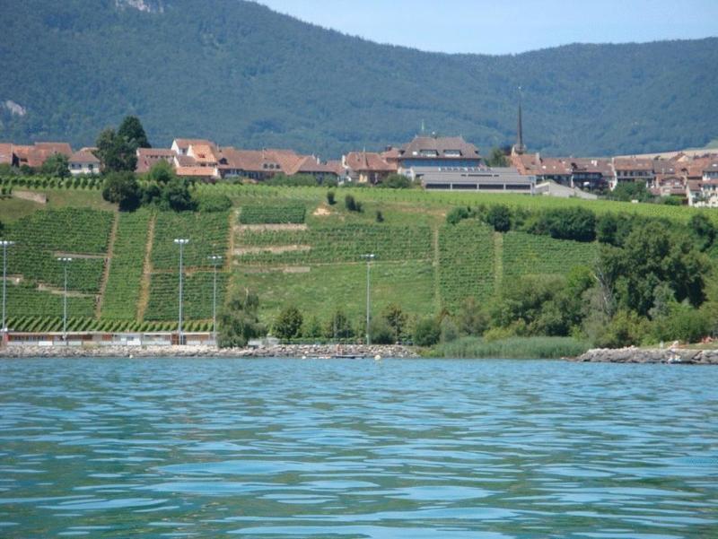 Hotel Restaurant Le Chalet Cortaillod Εξωτερικό φωτογραφία